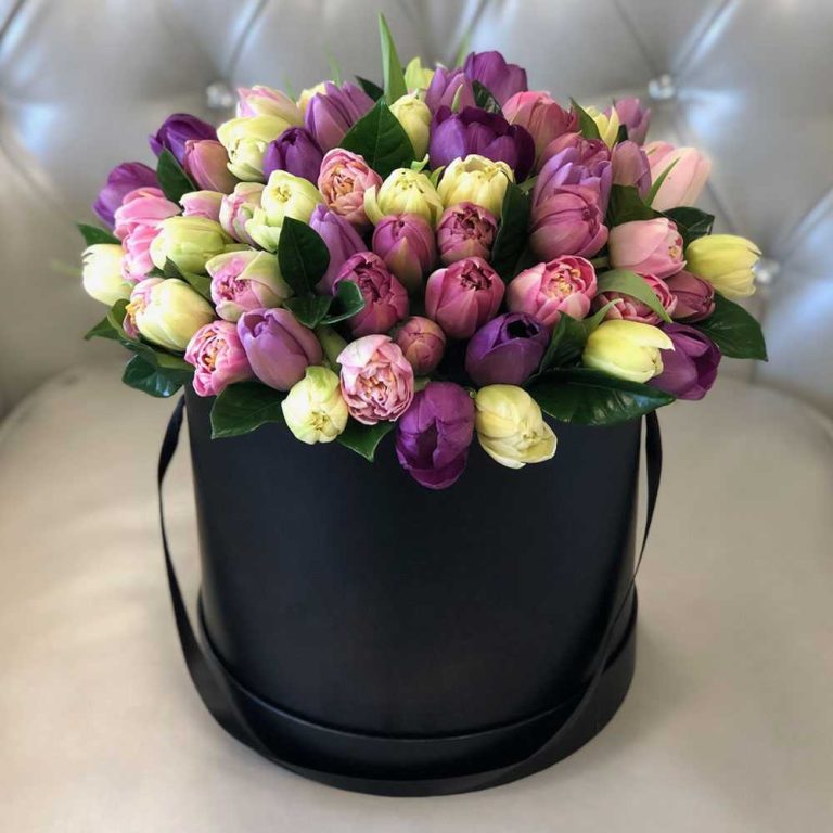 Капелла kapella